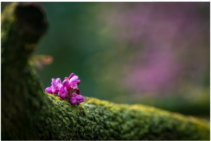 5197官网|中国有限公司-Baidu百科NO.1